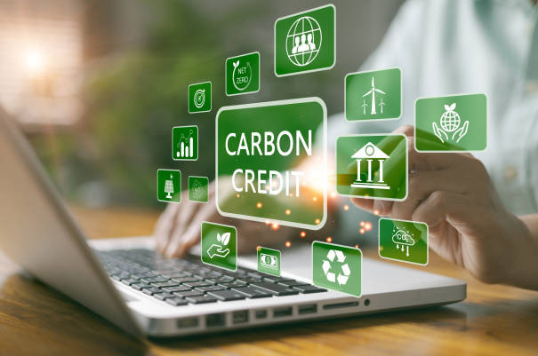 Carbon Credit Market