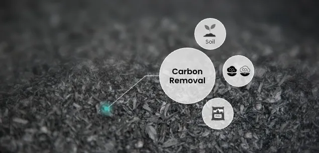 Pyrolysis Biochar